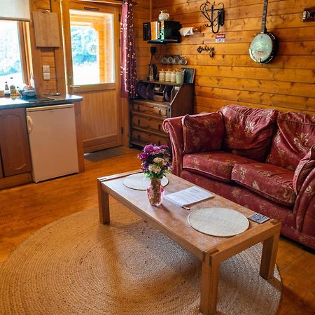 Blossom Cabin - Little Log Cabin In Wales Newtown  Zewnętrze zdjęcie