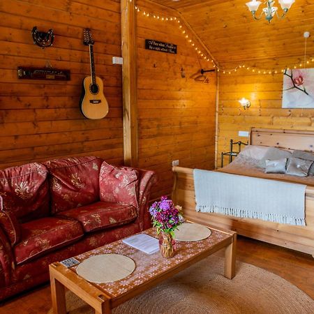 Blossom Cabin - Little Log Cabin In Wales Newtown  Zewnętrze zdjęcie
