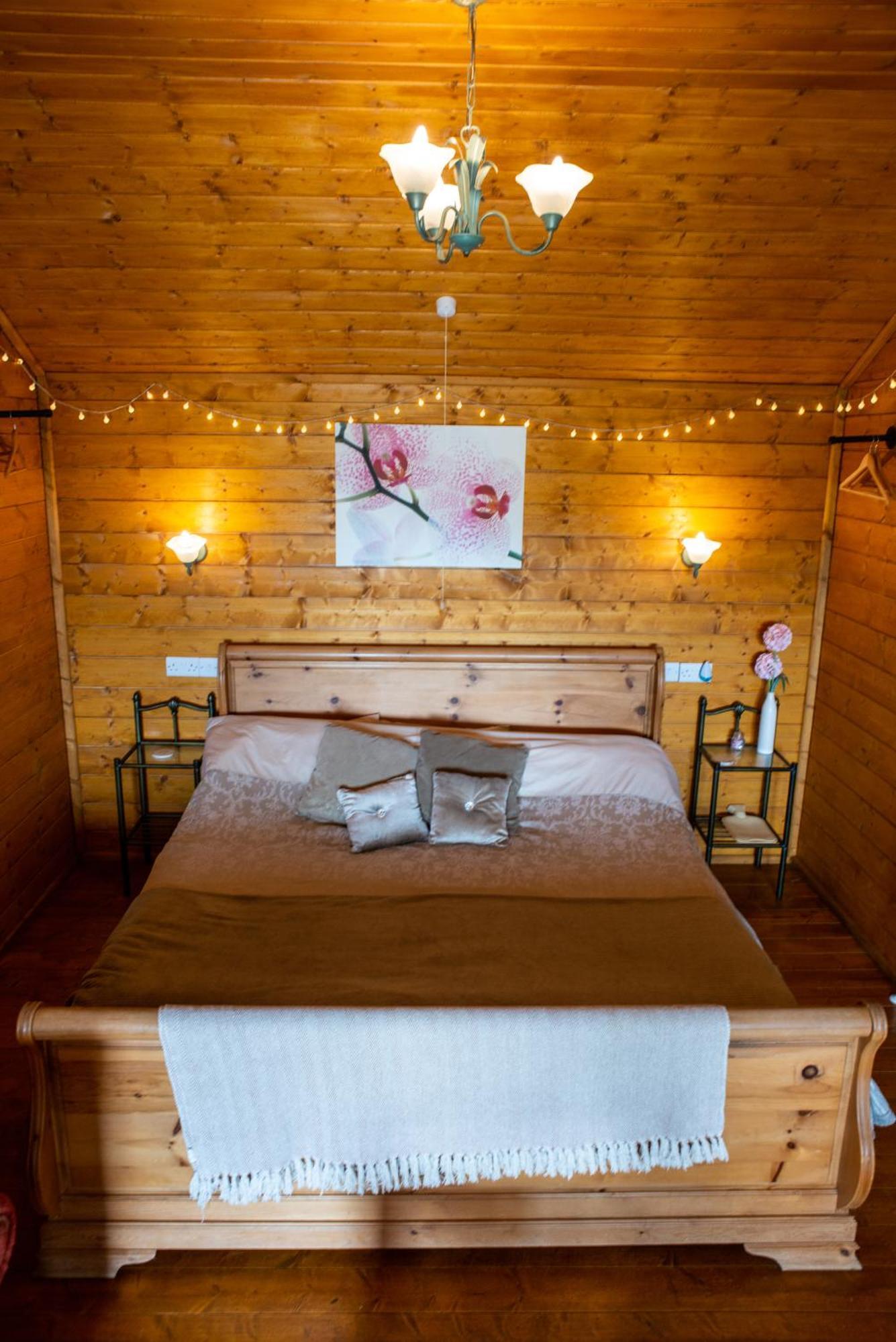 Blossom Cabin - Little Log Cabin In Wales Newtown  Zewnętrze zdjęcie