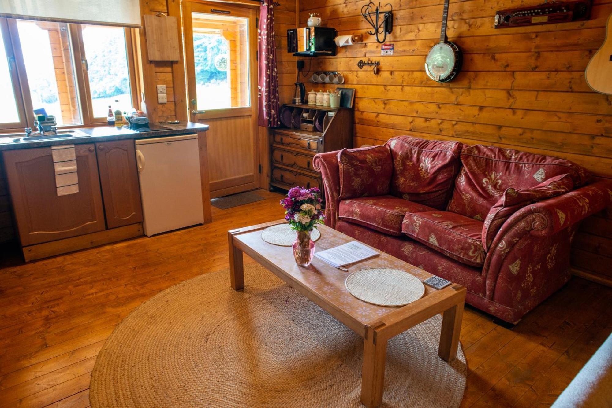 Blossom Cabin - Little Log Cabin In Wales Newtown  Zewnętrze zdjęcie