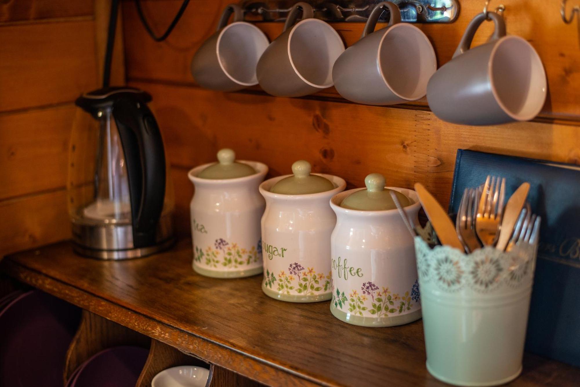 Blossom Cabin - Little Log Cabin In Wales Newtown  Zewnętrze zdjęcie