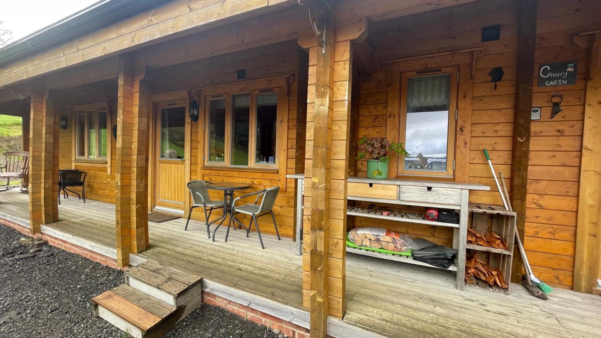 Blossom Cabin - Little Log Cabin In Wales Newtown  Zewnętrze zdjęcie