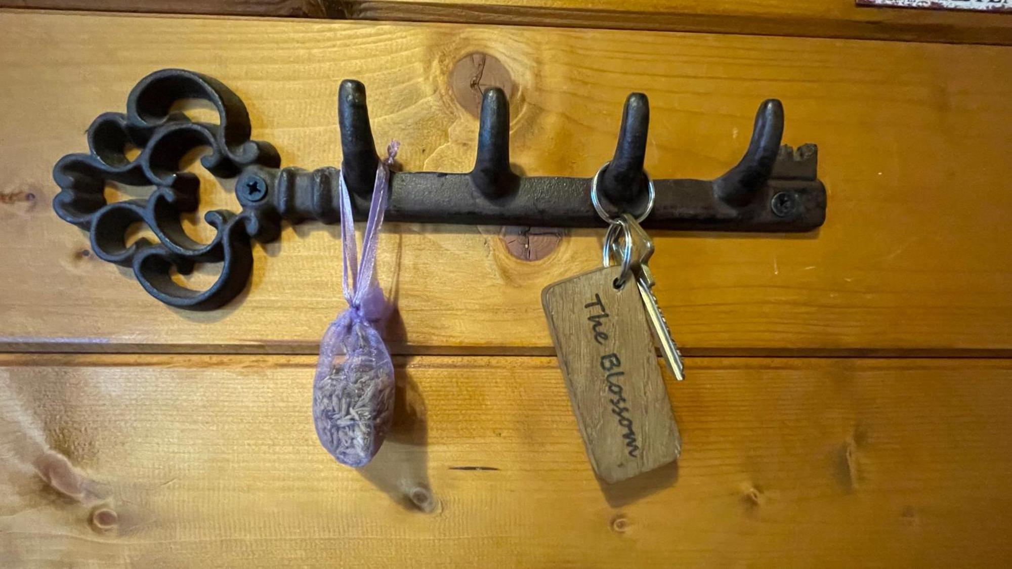 Blossom Cabin - Little Log Cabin In Wales Newtown  Zewnętrze zdjęcie