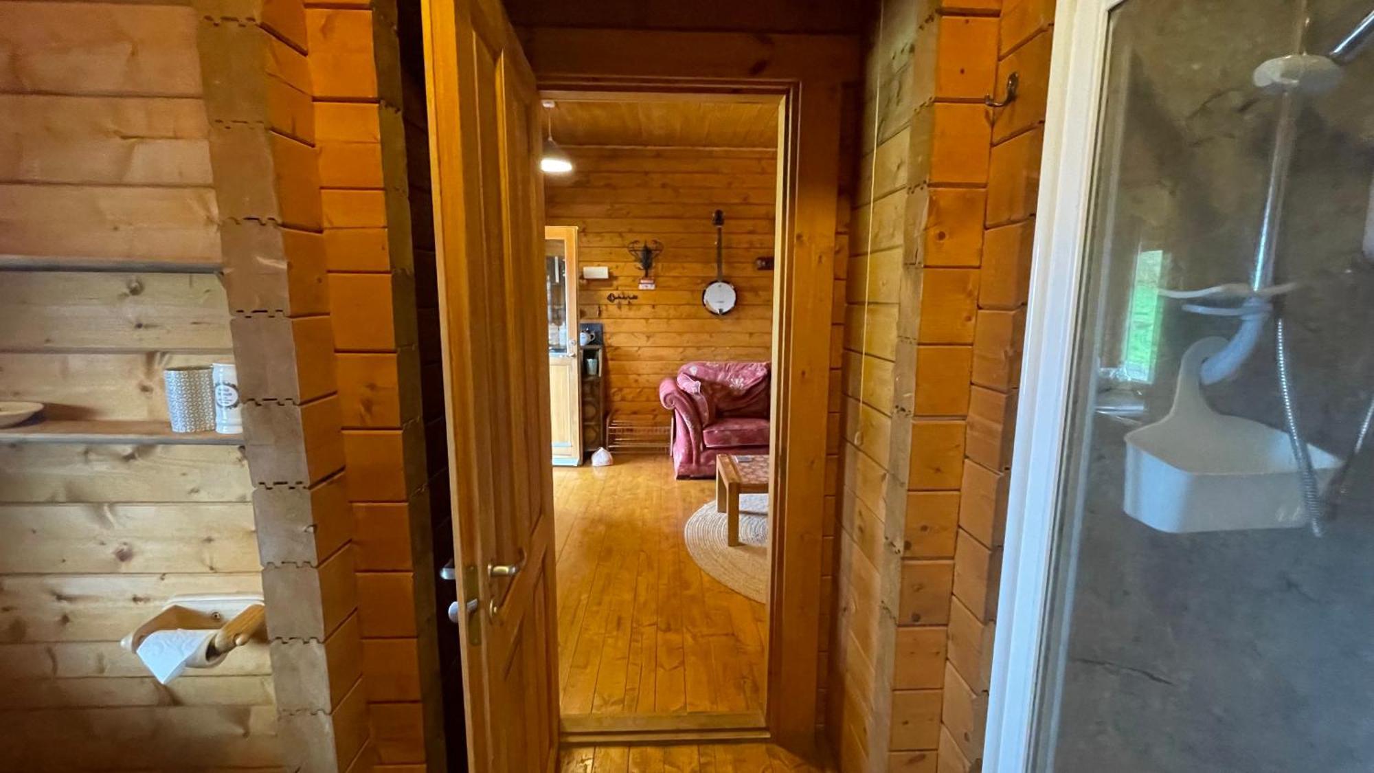 Blossom Cabin - Little Log Cabin In Wales Newtown  Zewnętrze zdjęcie