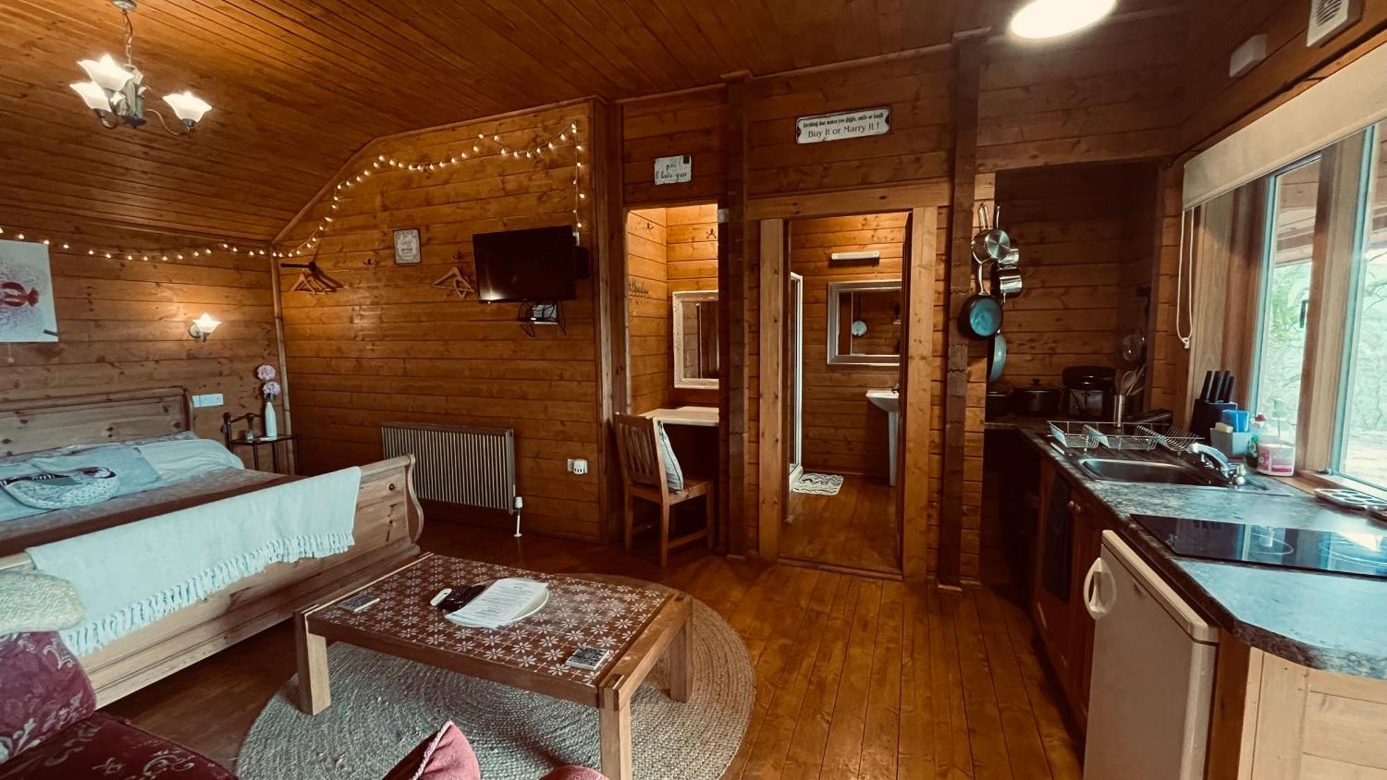 Blossom Cabin - Little Log Cabin In Wales Newtown  Zewnętrze zdjęcie