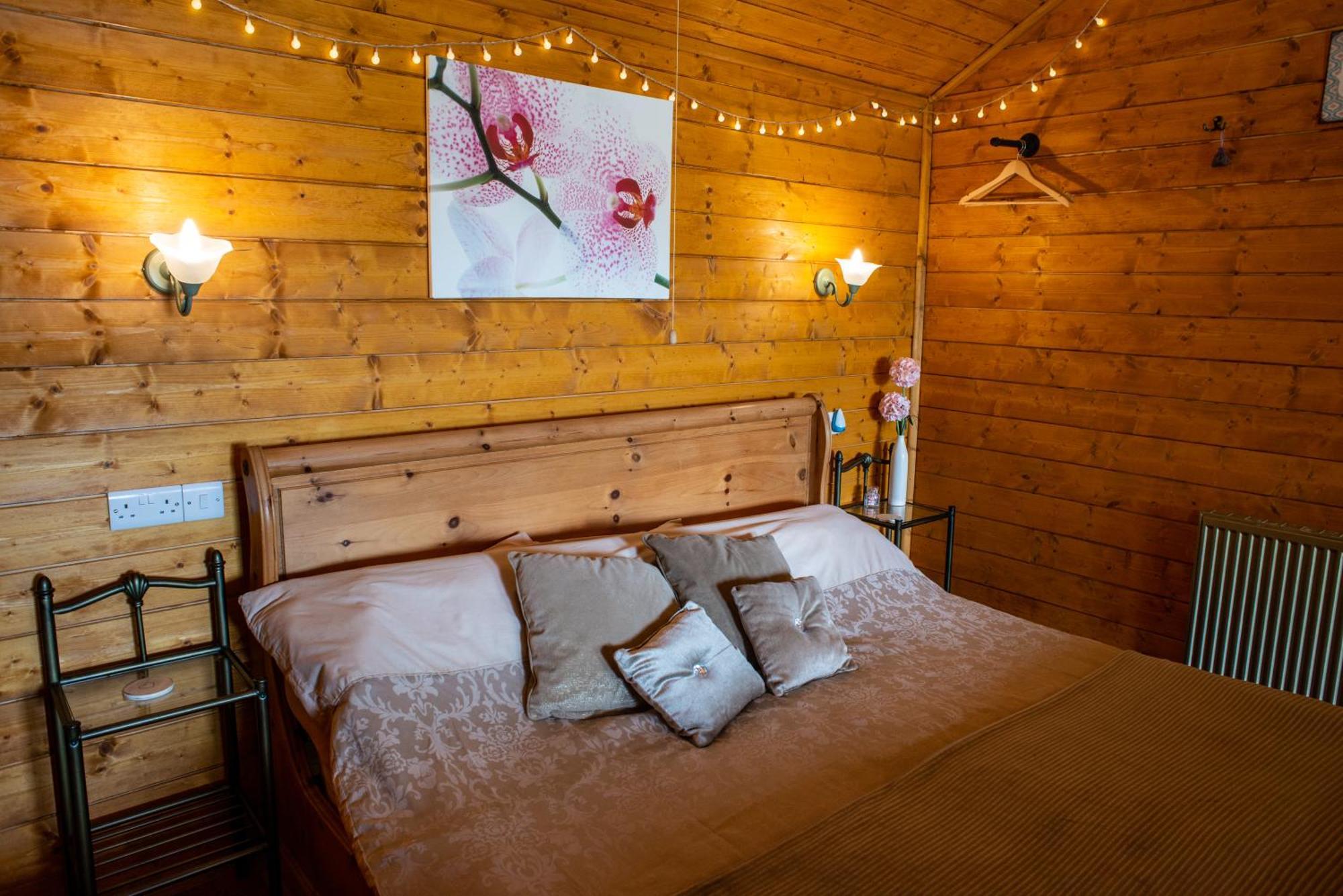 Blossom Cabin - Little Log Cabin In Wales Newtown  Zewnętrze zdjęcie