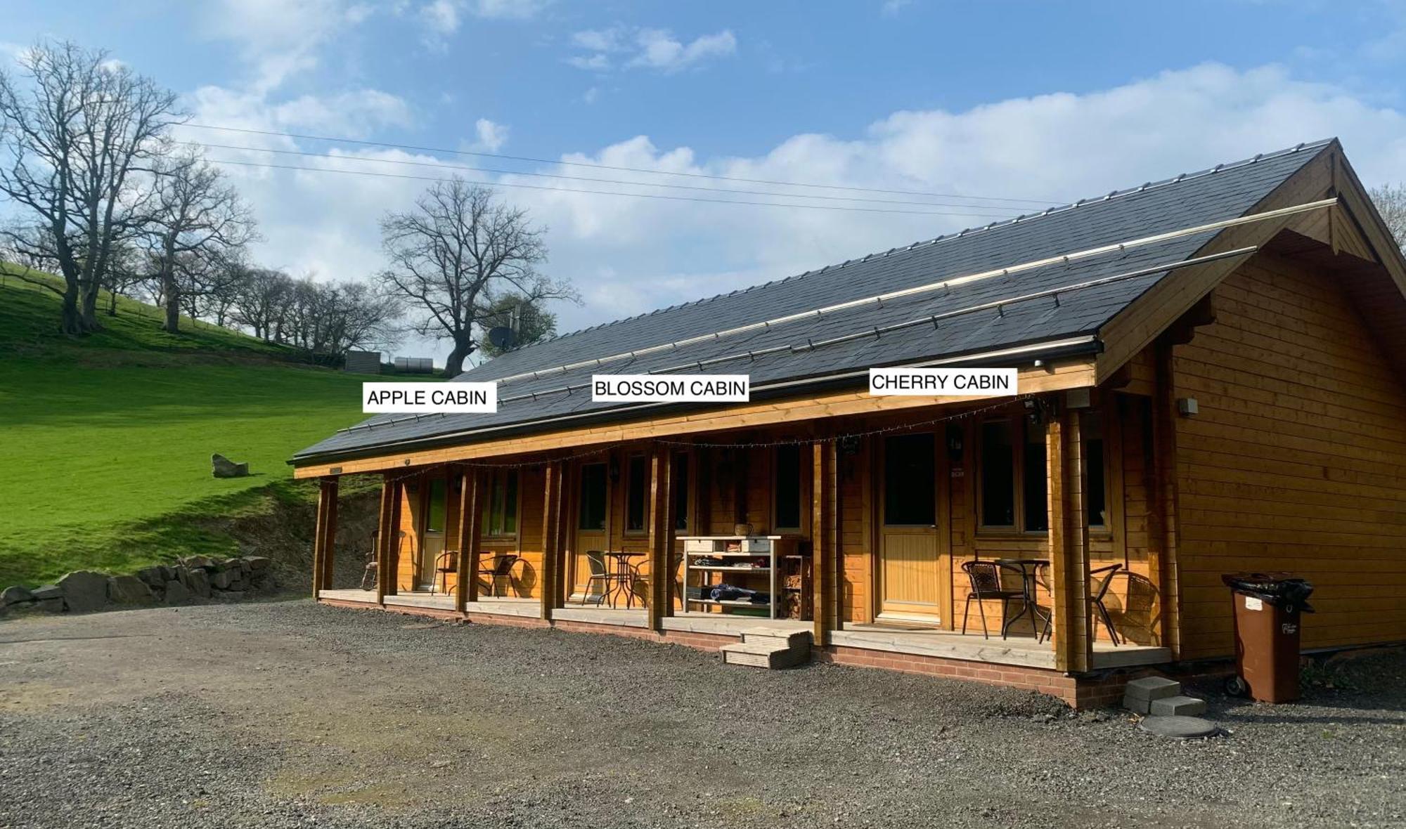Blossom Cabin - Little Log Cabin In Wales Newtown  Zewnętrze zdjęcie